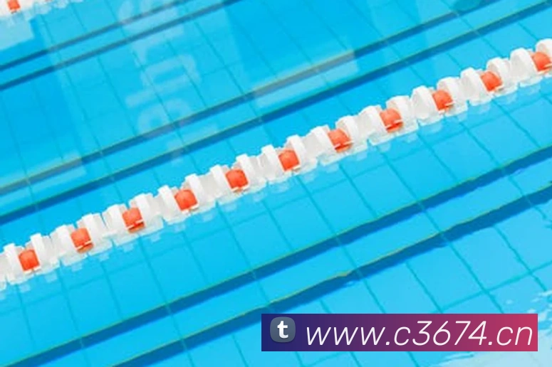 东升国际手机版下载发展历程