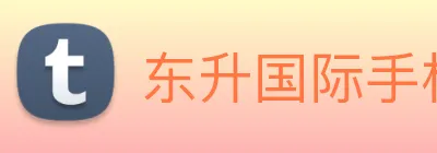 东升国际手机版下载 logo
